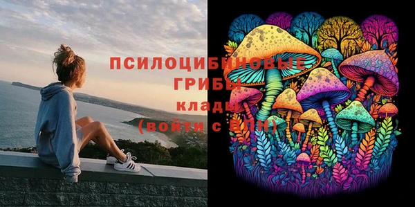 мескалин Вяземский