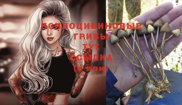 герыч Вязники