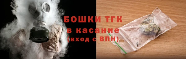 амф Горняк