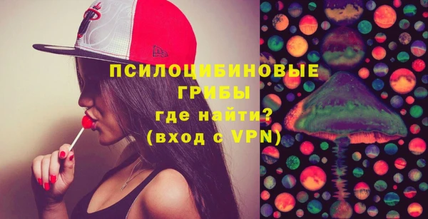 амф Горняк