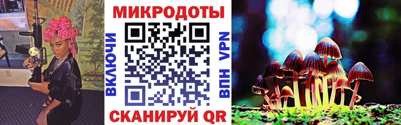 Купить  Дмитров  Псилоцибиновые грибы MAGIC MUSHROOMS 
